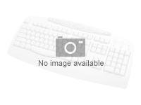 Intermec - keyboard - QWERTY - US 236-183-002