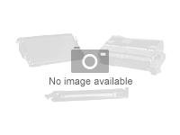 Zebra ZipShip PolyPro 3000T - labels - matte - 5280 label(s) - 75 x 35 mm LRDOC-CLEAR