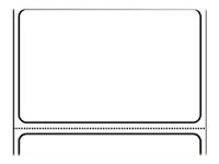 Zebra Z-Perform 1000D - labels - smooth - 2110 roll(s) - 101.6 x 76.2 mm 3003970