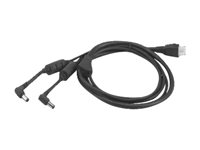 Zebra DC "Y" Cable - power cable CBL-DC-523A1-01