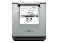Epson TM L100 (121A0) - receipt printer - B/W - thermal line C31CJ52121A0